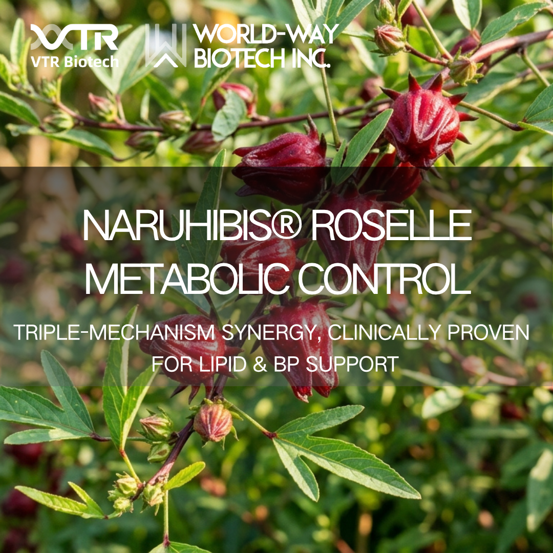 Экстракт гибискуса Naruhibis®: метаболическая регуляция тройного действия для естественного контроля веса